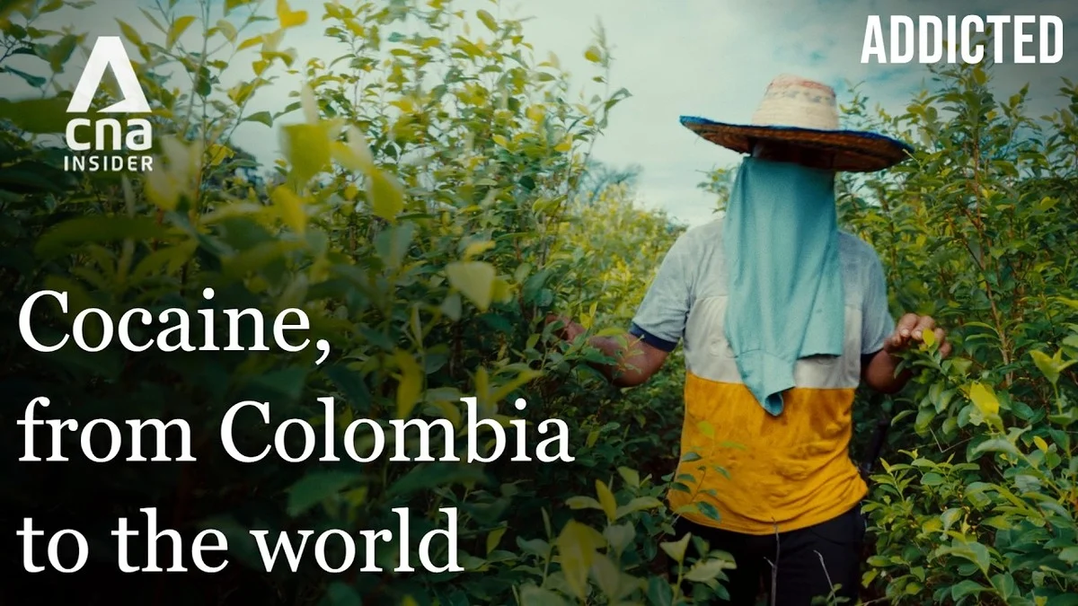 A person in a straw hat and cloth-covered face stands in a lush green coca field under a partly cloudy sky. Text overlays read "Cocaine, from Colombia to the world."
