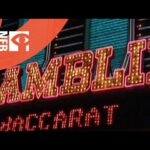 Pieces of a Dream: A Story of Gambling