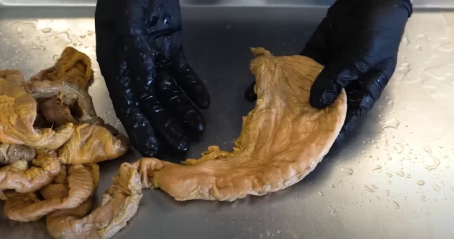 A pair of hands in black gloves touching a real stomach to show how alcohol first gets absorbed in the body through the stomach.